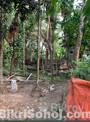 Emergency sell post jomi